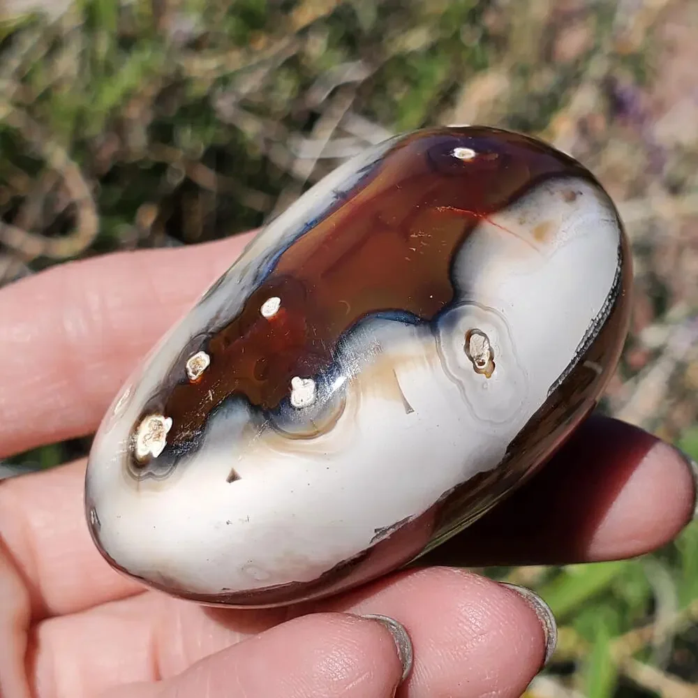 Eyes on Back Orca Agate Carnelian Stone Crystal UNIQUE Palmstone 180 grams